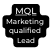 MQL Marketing qualified Lead