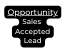 Opportunity Sales Accepted Lead